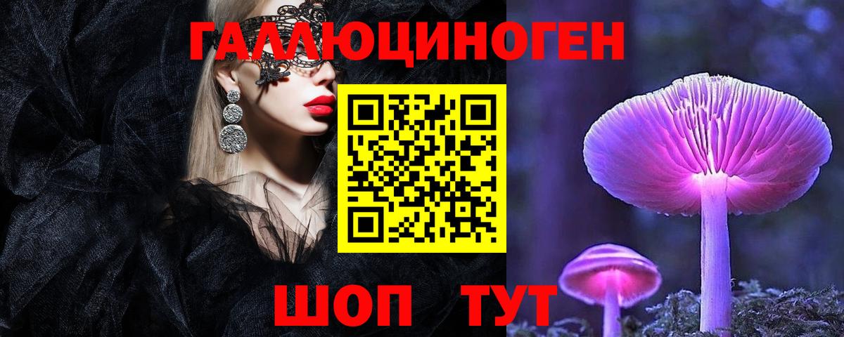 где найти наркотики  Вход с VPN  Новый Уренгой  Псилоцибиновые грибы Psilocybe 