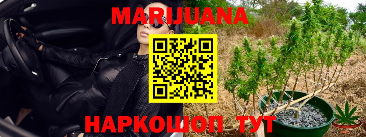 Конопля Bruce Banner Новый Уренгой